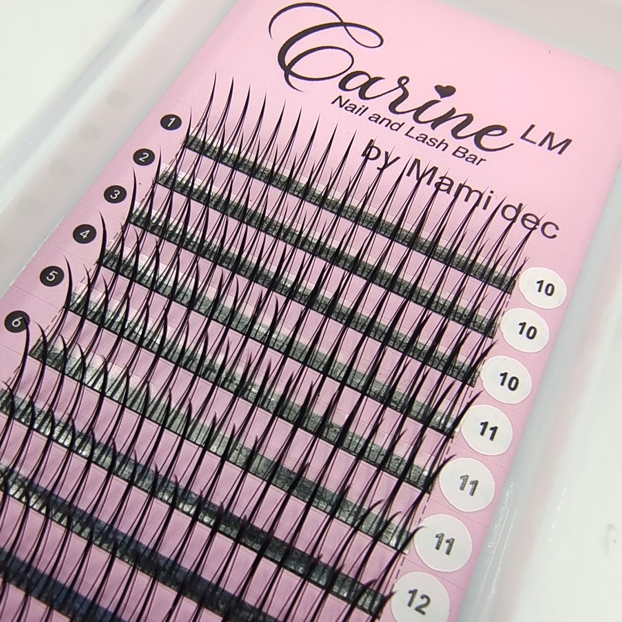 A Lash (Anime Lash)