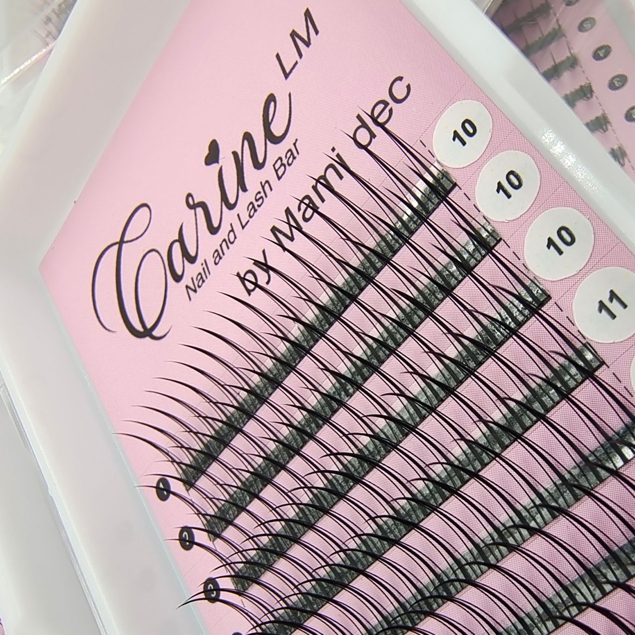 A Lash (Anime Lash)